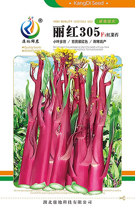 麗紅305