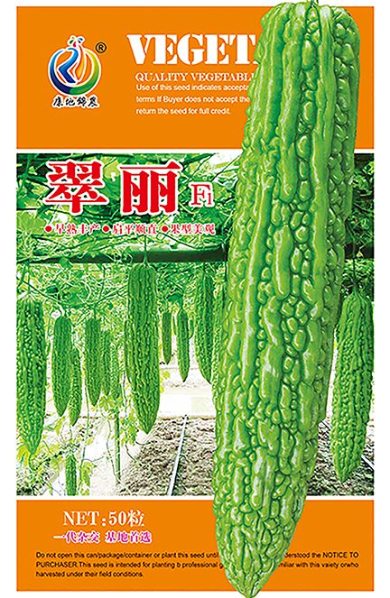 翠麗