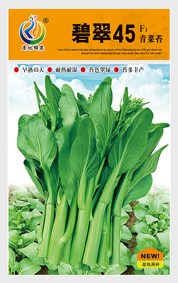碧翠45