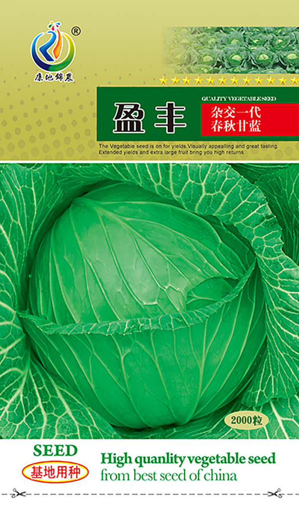 盈豐