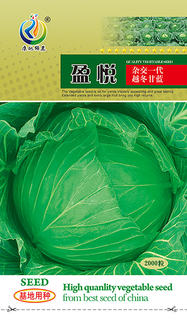 盈悅