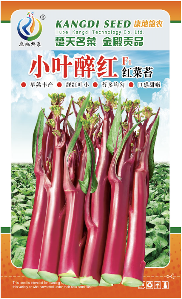 小葉醉紅