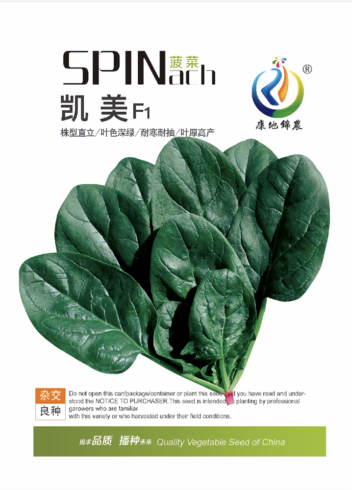 凱美