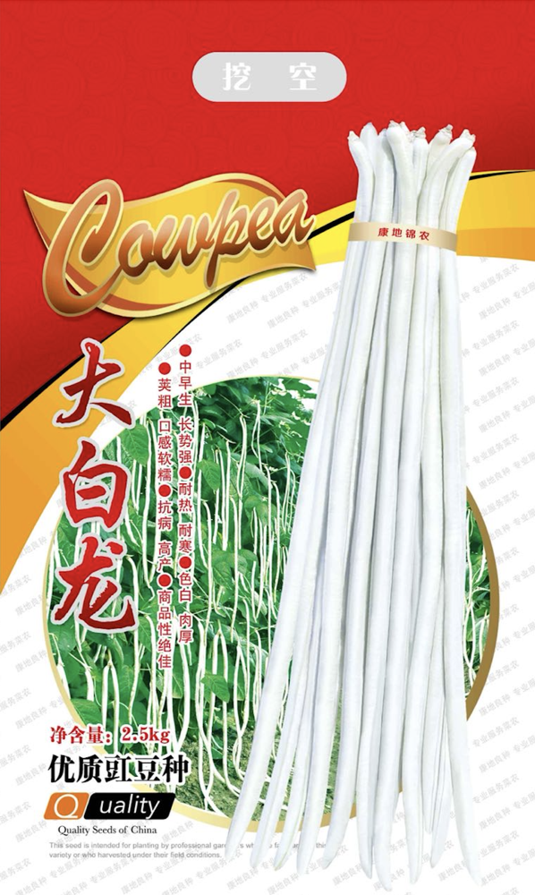 大白龍