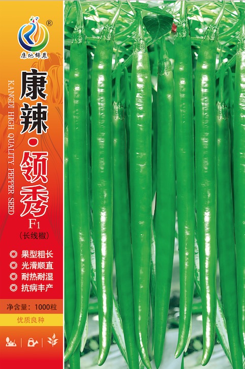 康辣·領(lǐng)秀