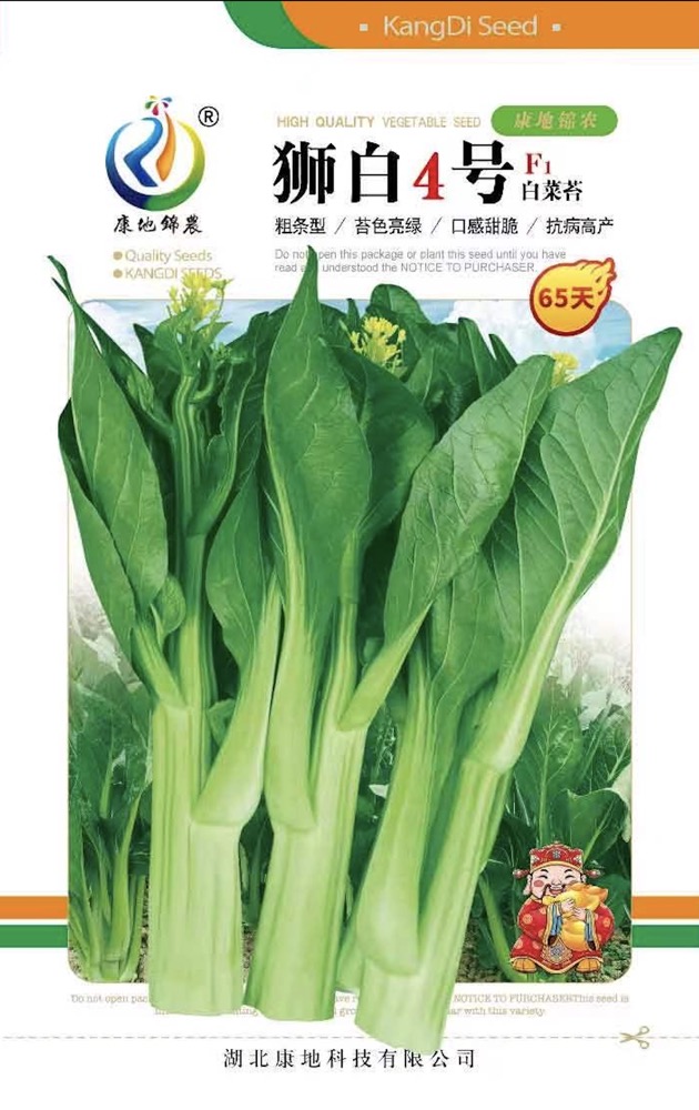 獅白4號