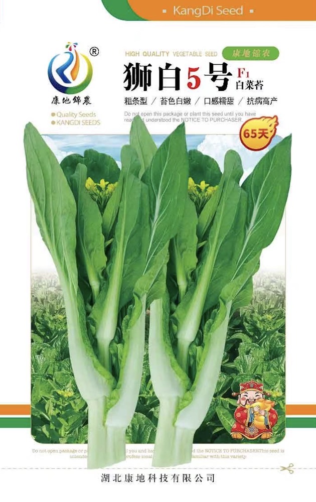 獅白5號