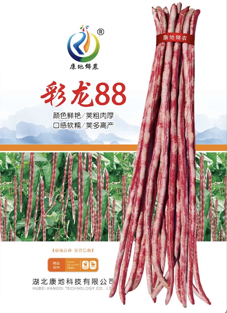 彩龍88