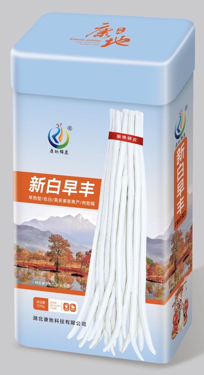 新白早豐