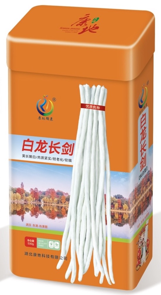 白龍長劍