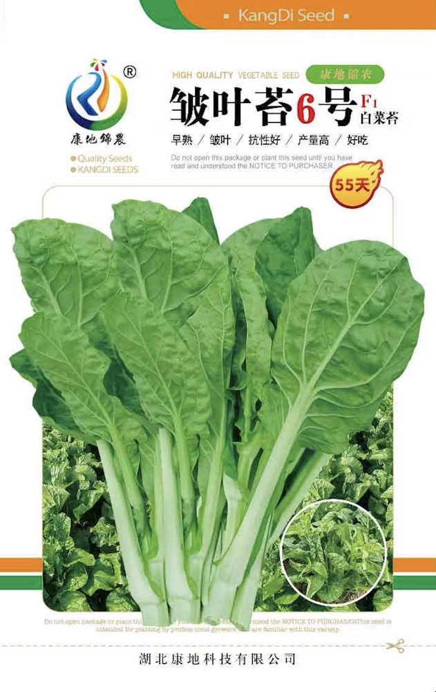 皺葉苔6號