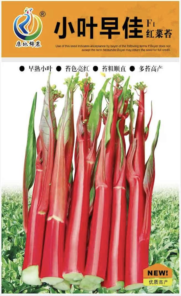 小葉早佳