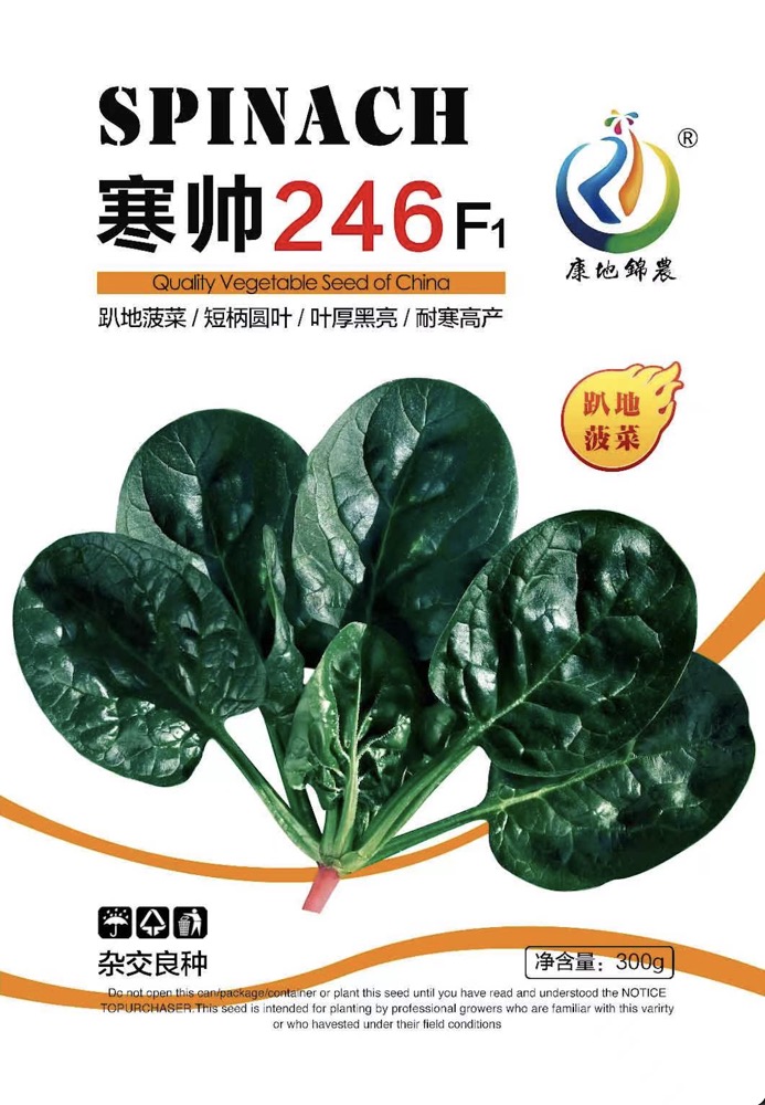 寒帥246