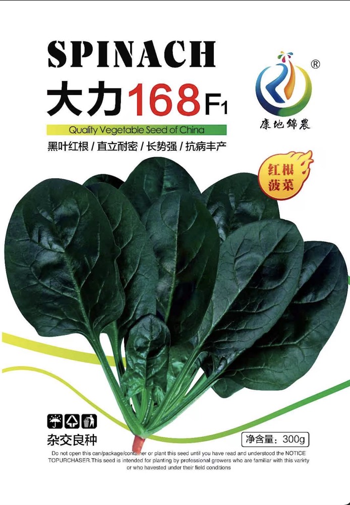 大力168