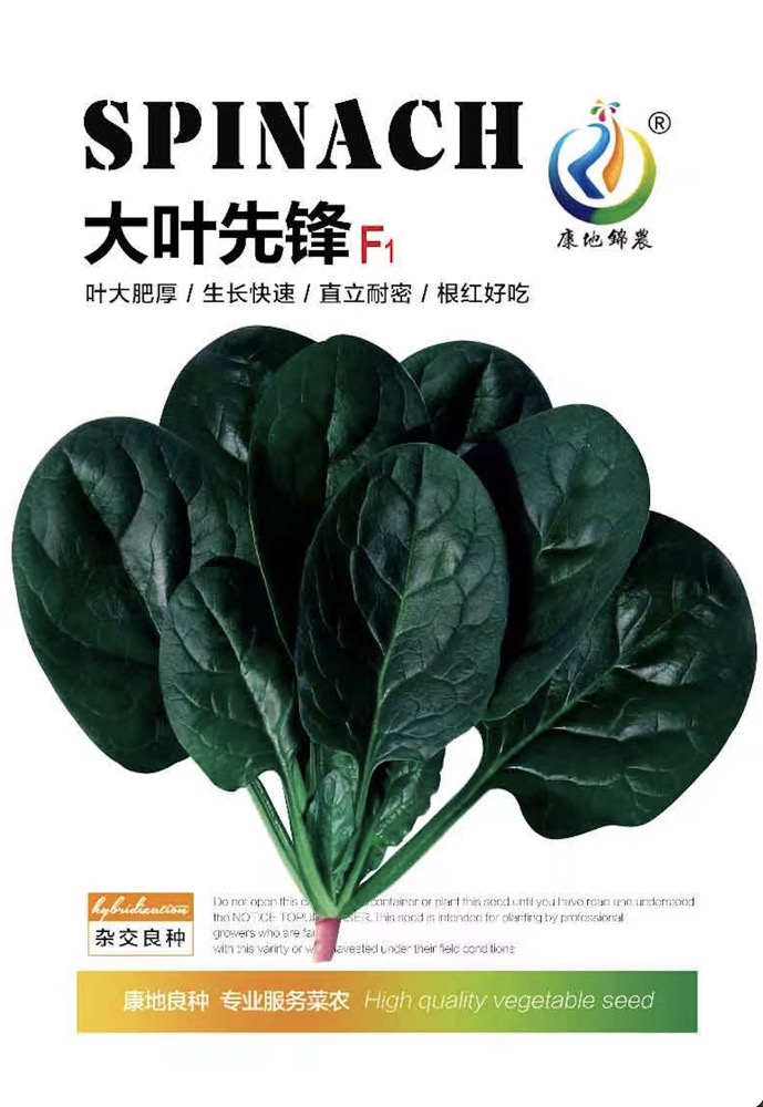 大葉先鋒