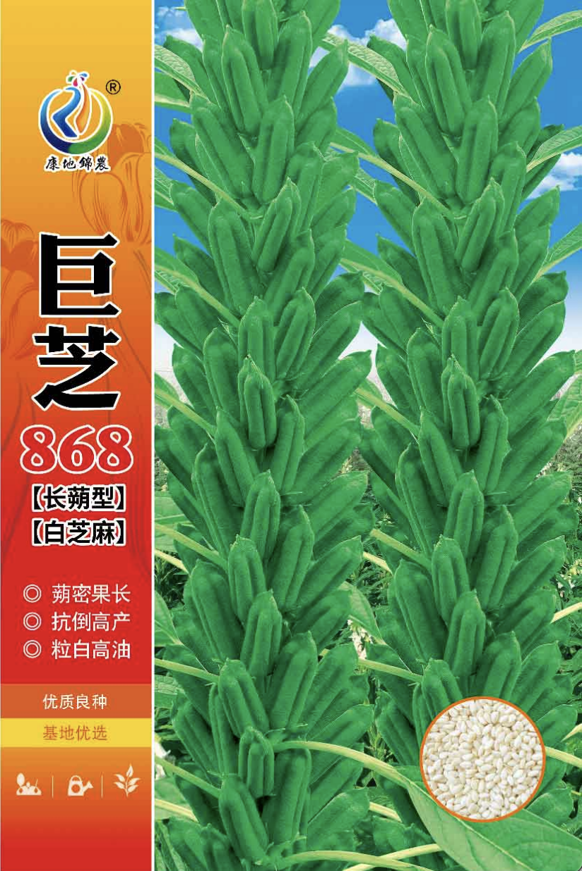 巨芝868
